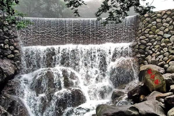 泪目!伊春“小松子”茂名研学之旅圆满收官,机场挥泪告别